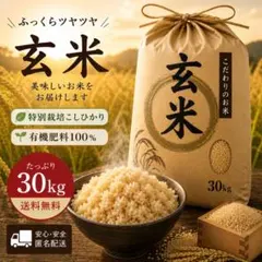 令和7年産 特別栽培米 コシヒカリ 玄米 30kg 静岡県産 　玄米食オススメのサムネイル