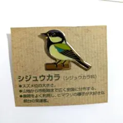 野鳥の会シジュウカラ、ピンバッジのサムネイル