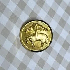 金ボタン 和洋裁材料