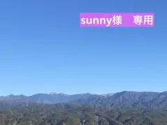 sunny様　専用です
