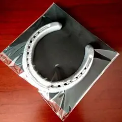 【本物の蹄鉄】馬蹄