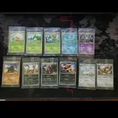 ポケモンカード　ポケモンキッズ　ベストウィッシュ　プロモ　未開封　全11種セット