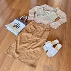 レディース春コーデまとめ売り袖レーストップスビスチェタイトスカートしまむら淡色