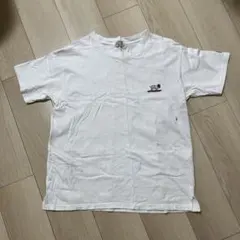 TES ホワイト Tシャツ S ENDLESS SUMMER