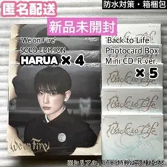 2026年最新】エンチーム ハルアの人気アイテム - メルカリ