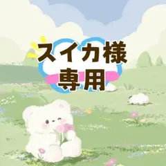 「スイカ様専用」スカルパンダ　マイリトルポニー　保護ケース　透明1点