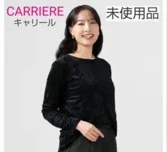 Item thumbnail for item d662749f-4860-4f73-a422-3c5c3cf18949