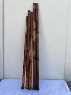 篠竹 女竹 燻煙竹 穴開け練習用提供品 - メルカリ