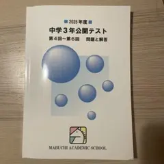 2026年最新】馬渕公開テストの人気アイテム - メルカリ