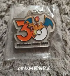 ポケモン 30周年 メタルチャームマスコット リザードン