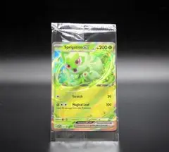 英語 ポケモンカードゲーム
