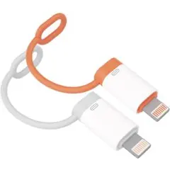 Type C to ライトニング 変換アダプタ