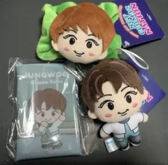 NCT CCOMAZ ジョンウ　クリアマルチケース& マスコット&シュシュ