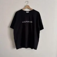 【 24時間以内発送 】 EVOLUTION Tシャツ Mサイズ ブラック