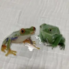 Item thumbnail for item 7b8694b5-581a-4be1-9f27-5ab263b5a54f