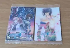 機動戦士ガンダムSEED FREEDOM カードセット