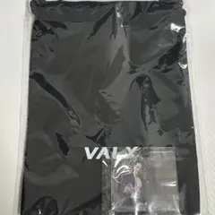 【新品未開封】VALX 就任記念セット　菊池風磨