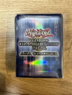 遊戯王 WCS 2025 デュエルセット パリ 世界大会 デッキケースのみ