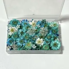 Item thumbnail for item dbc9f6da-55c1-4c05-871b-5a4b237c6582