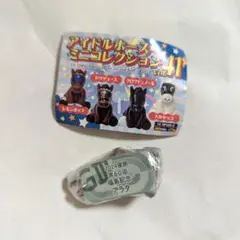 アイドルホースミニコレクションvol.41　アラタ