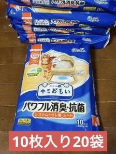 Item thumbnail for item d70e0b23-8dbe-4ff3-8cc6-2c4eec2dcb80