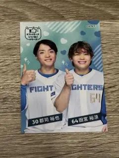 【10枚限定】 直筆サイン BBM 2022 日ハム 松浦慶斗 RC 10枚限定】 直筆サイン BBM 2022 日ハム 松浦慶斗 RC 10枚限定