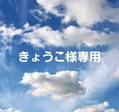 きょうこ様専用②