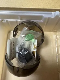 Item thumbnail for item 6bc5141d-e6b6-4e2c-a1f1-9648643a592d