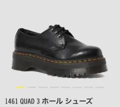 2026年最新】1461 quadの人気アイテム - メルカリ