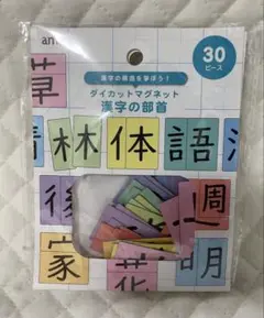 【新品未開封】ダイカットマグネット 漢字の部首 知育 パズル