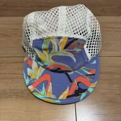 パタゴニア キャップ ウェーブフェアラー パラダイスフィッシュ 2015