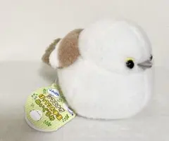 Item thumbnail for item 8843950f-32dc-452b-bddc-1c905b8827b9