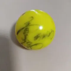 2026年最新】竜星涼 サインの人気アイテム - メルカリ