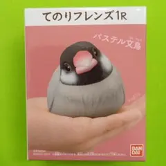 てのりブレンズ　１R　パステル　文鳥　新品　鳥　フィギュアのサムネイル