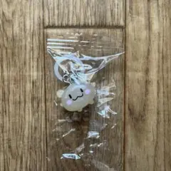 TRUZ めじるしアクセサリー RURU