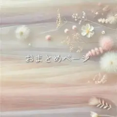 Tanzanite様 リクエスト 2点 まとめ商品