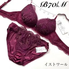 B70/M イストワール ブラジャー&ショーツ 上下セットのサムネイル