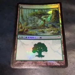 MTG 神河物語 日本語 トーナメント 空箱 - メルカリ