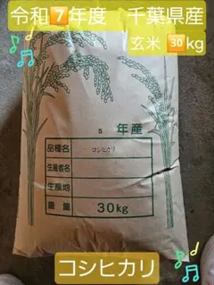 令和7年茨城県産コシヒカリ30kg玄米 - メルカリ