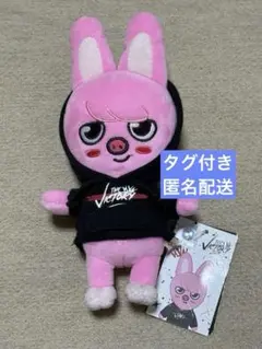 SKZOO ミニぬいぐるみ★MINI PLUSH★DWAEKKI★チャンビン