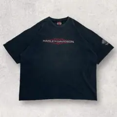 90s Harley-Davidson USA製 ヴィンテージ 鹿の子 Tシャツ