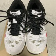 ヨネックス　パワークッション エクリプション Z ミッド　24.5センチ