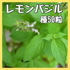 厚揚げ様 リクエスト 4点 まとめ商品