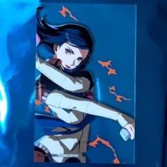 ペルソナ4 P4U2 先着購入 特典カード ミナヅキショウ - メルカリ