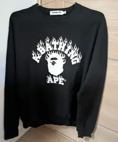 Item thumbnail for item 6ab053c1-dd3d-4d0c-a7cd-76b40209215f