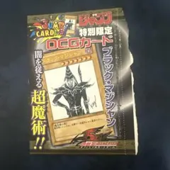CTM様 リクエスト 2点 まとめ商品