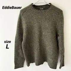 エディーバウアー グリーン ニット セーター L メンズ 暖かい トップス