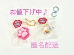 新品未開封】 キラむにゅ mini Picにゃん スクイーズ 2種 セット