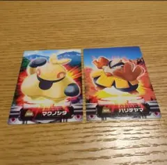 【希少　激レア】ポケモンずかんカード　マクノシタ・ハリテヤマ