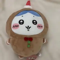 ハチワレ クリスマス衣装